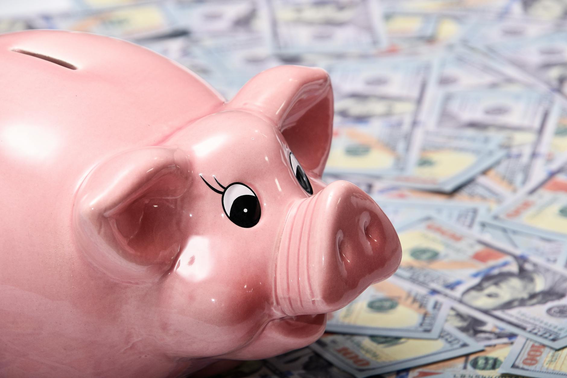 Savings account and cash representing financial assets